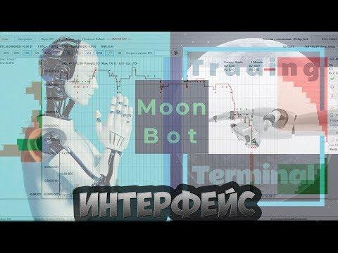 Interface Overview